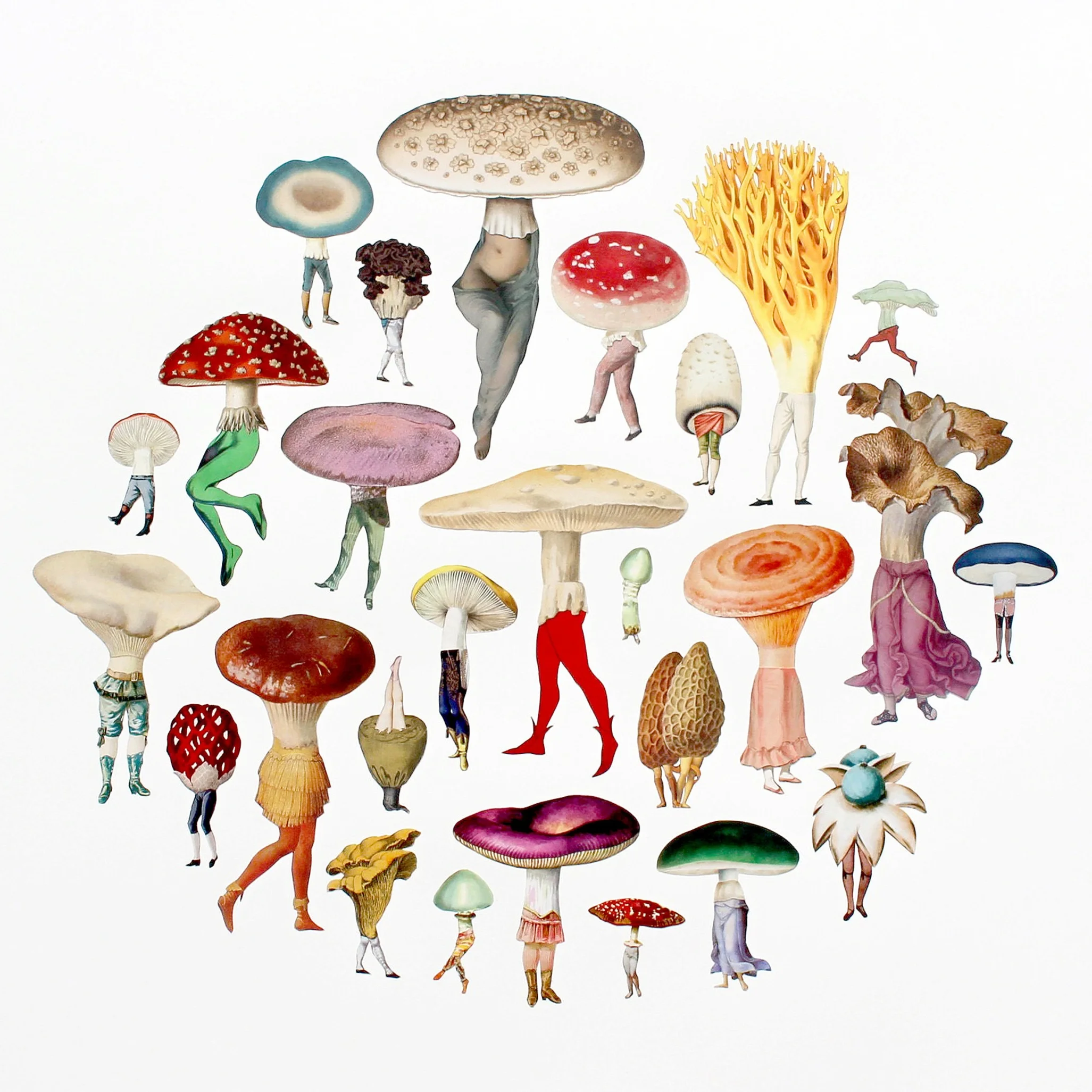 Amy Ross , Mushroom Patch , collage on paper