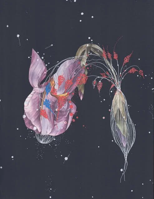 Blossoming Sea Broom , pen, ink, pencil, and collage on paper, 11" x 8 1/2", $225