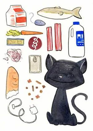 narrigan_variety_wbe.jpg