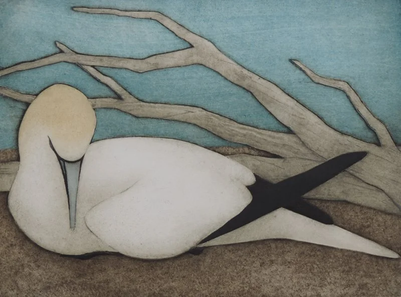 Bonaventure Gannet (A/P), collagraph on paper, 10” x 14”, $325