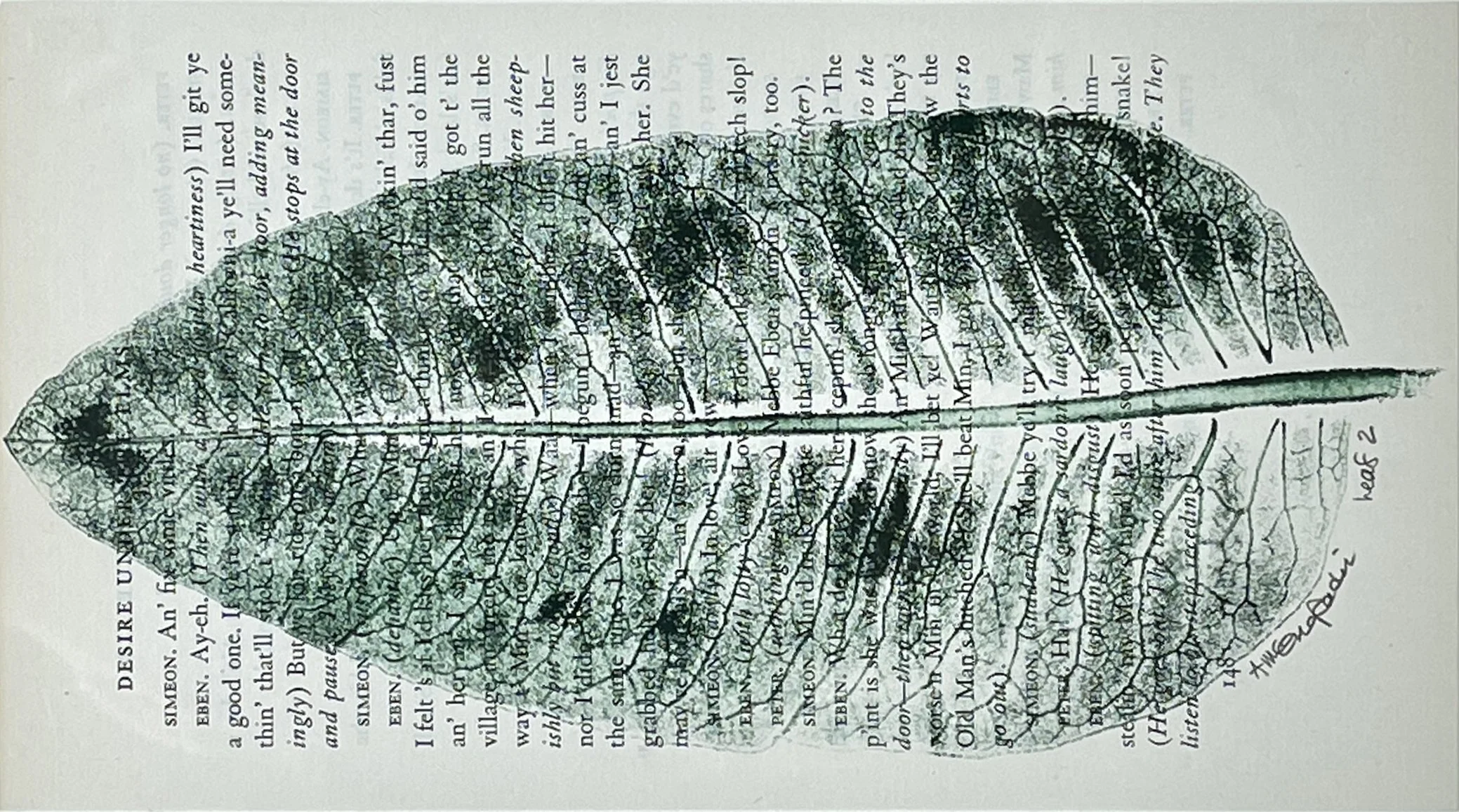 Radin_Leaf 2_2.JPG