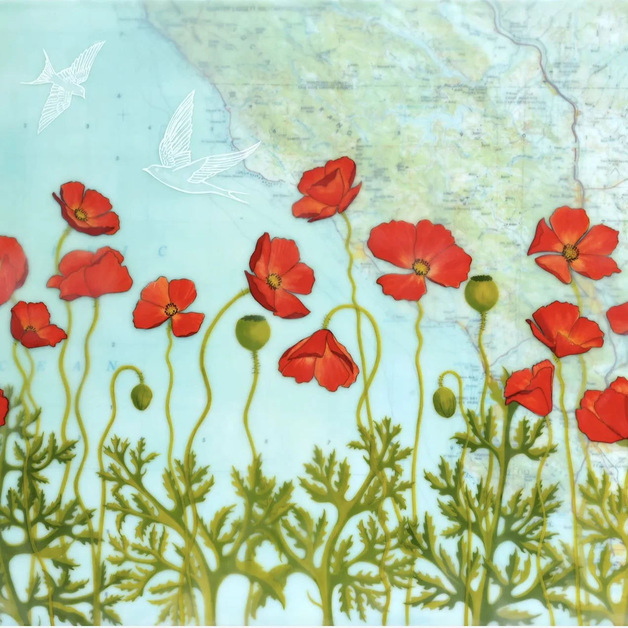 Amy Keller - Poppy Coast