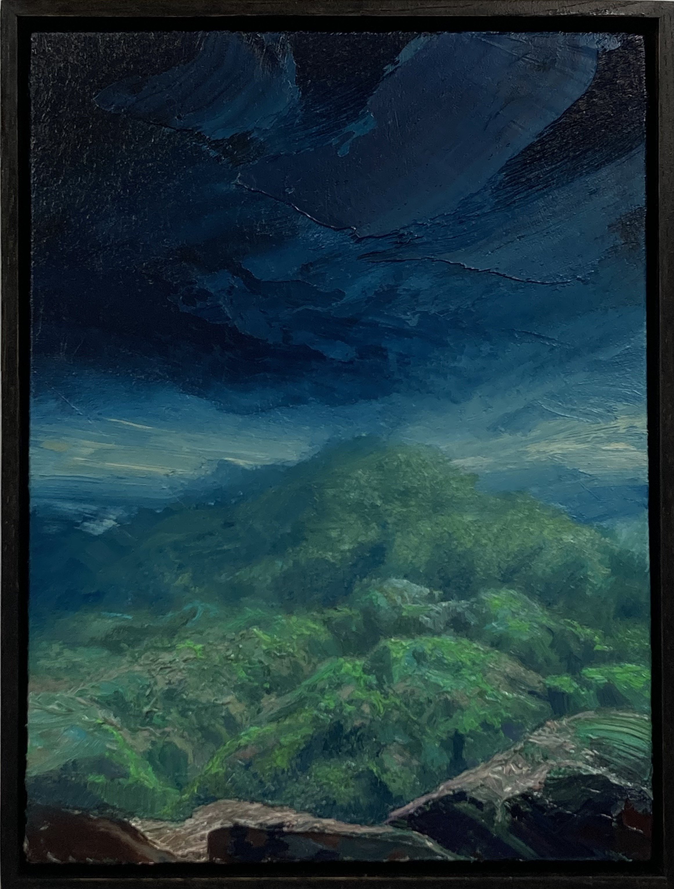 Neusser_Green Mountain (#2338)_2.jpeg