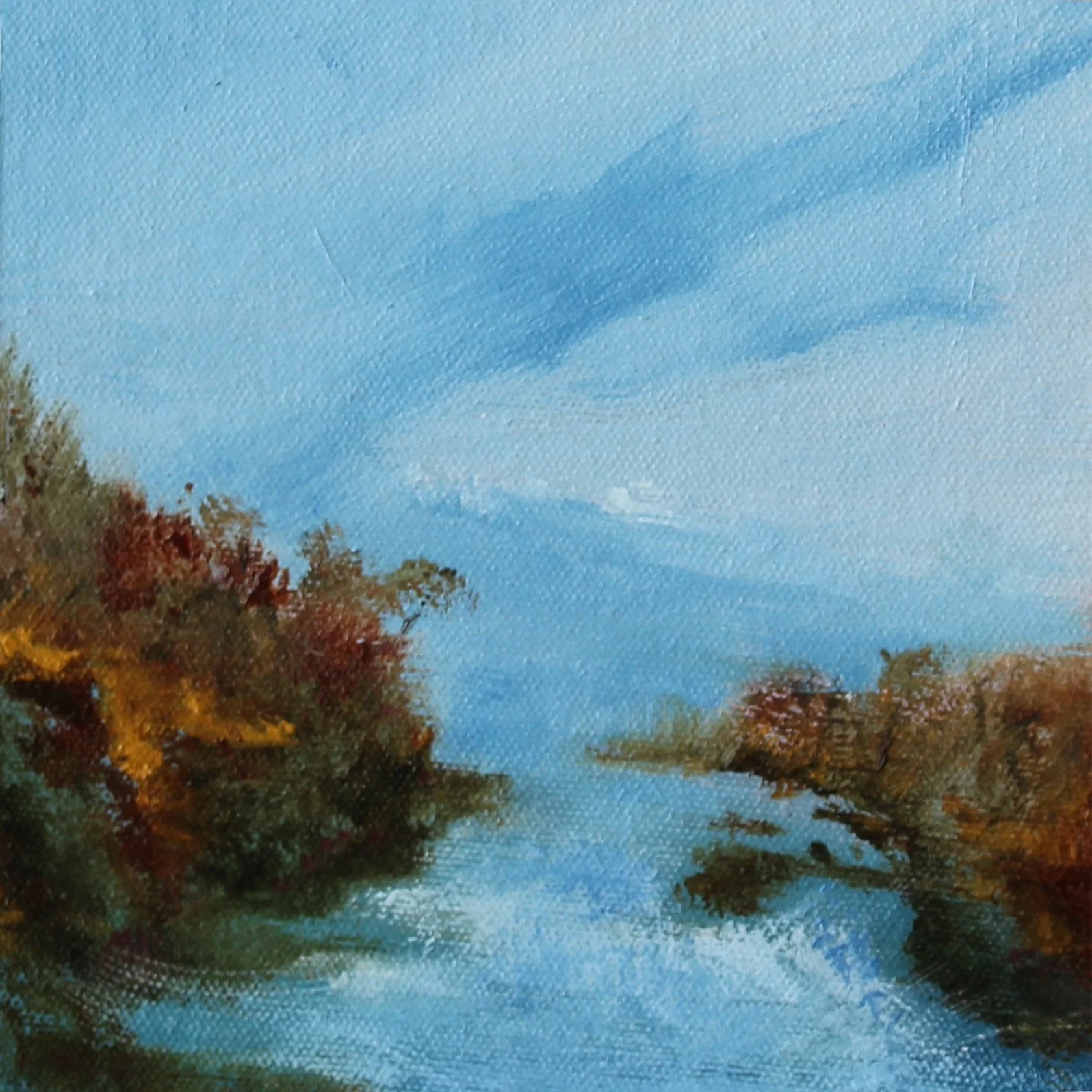 Tanya Hayes Lee - The Cove