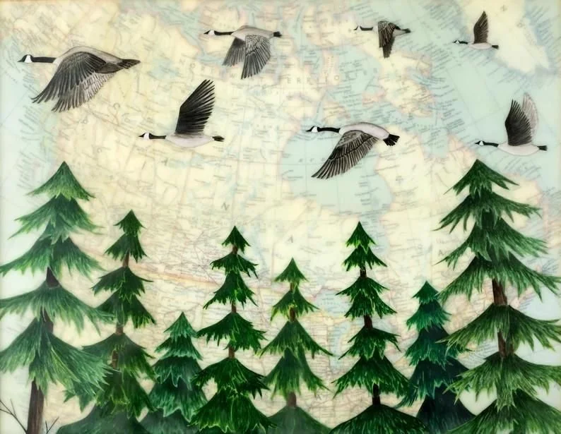 Amy Keller - Above the Treetops