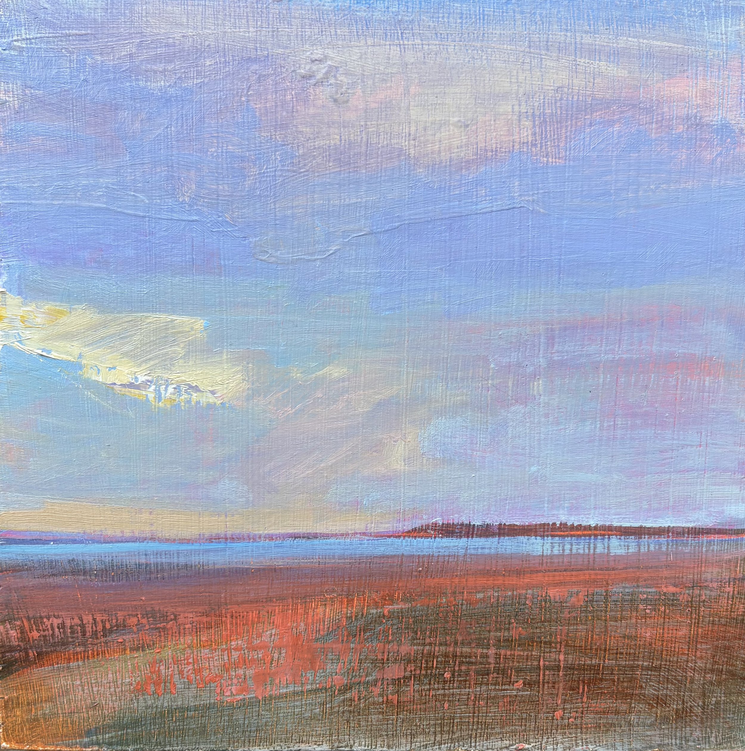 Heather Pilchard - South Sunken Meadow 2
