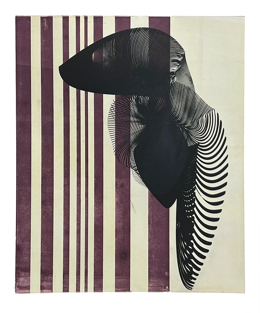 Dorothea Van Camp - Sealed