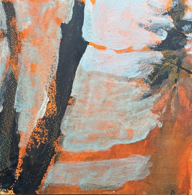 Heather Pilchard - Great Island Woods