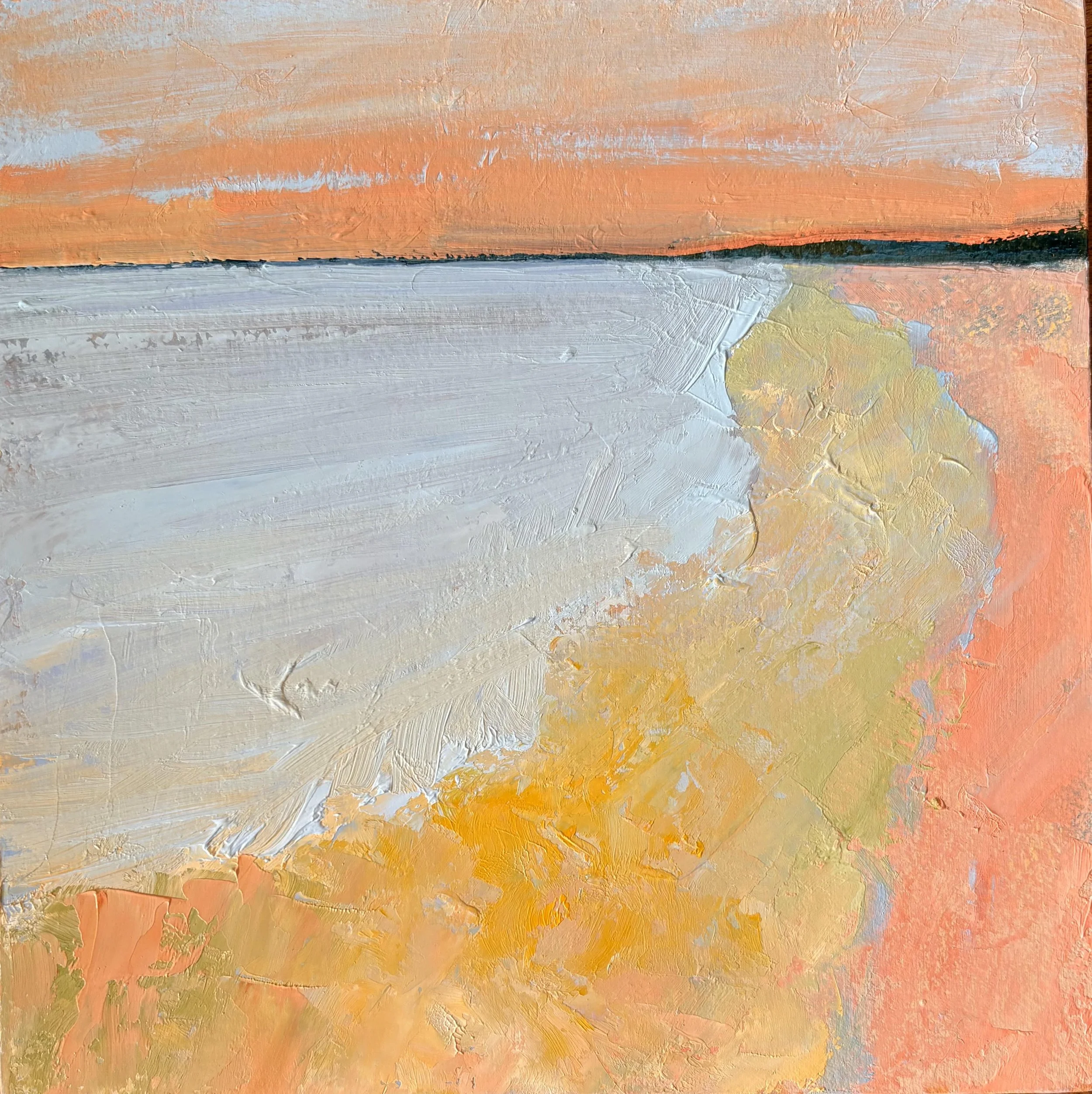 Pilchard_Surf.jpg