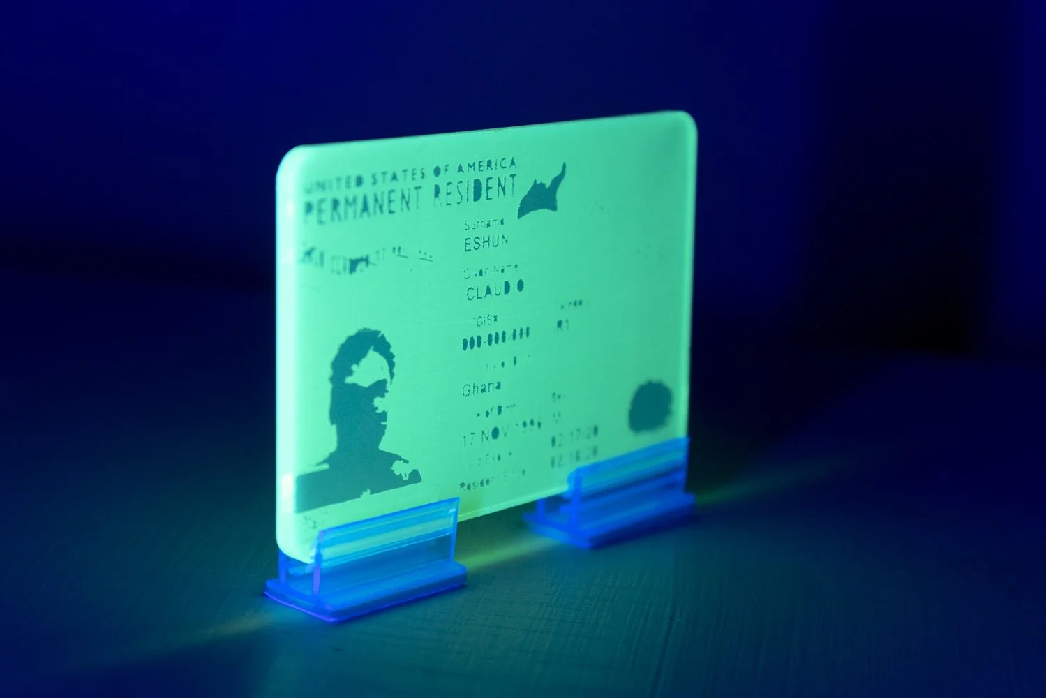 Eshun_Untitled (My Green Card)-side view.jpg