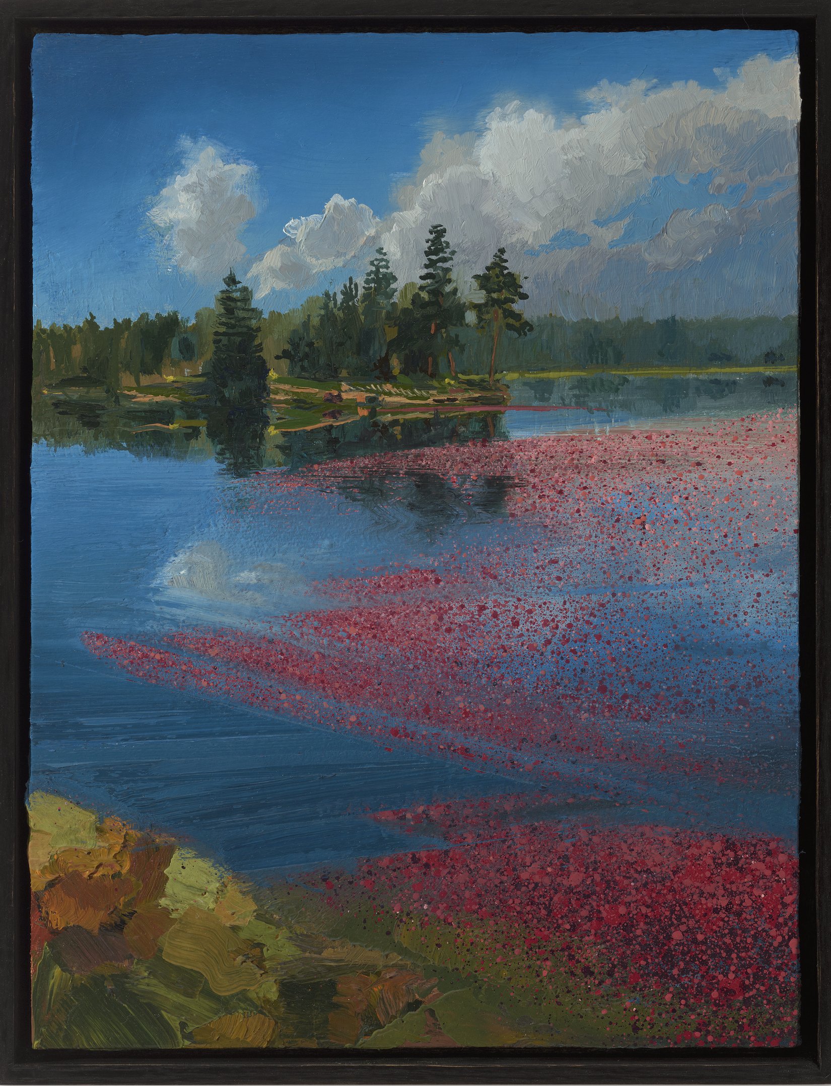 Neusser_Landscape-Bog (#2628).jpg