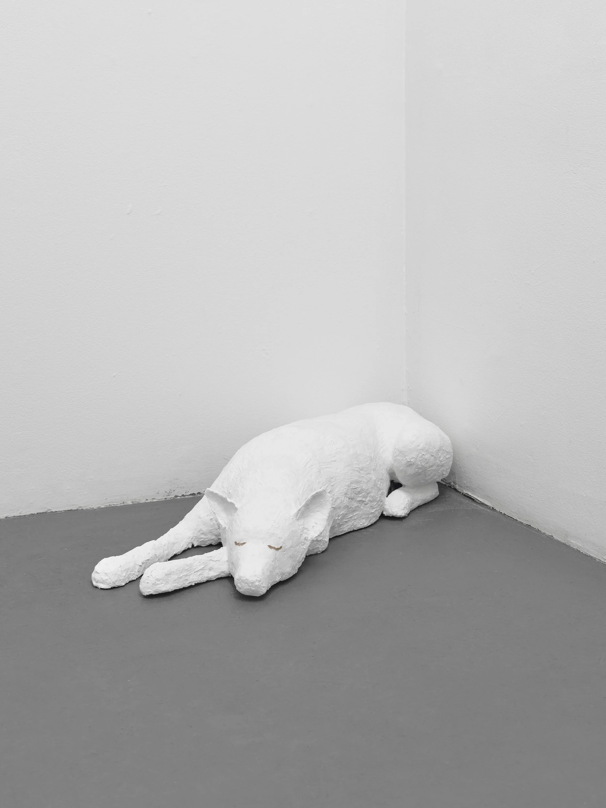 Chen Peng - Sleeping Kara