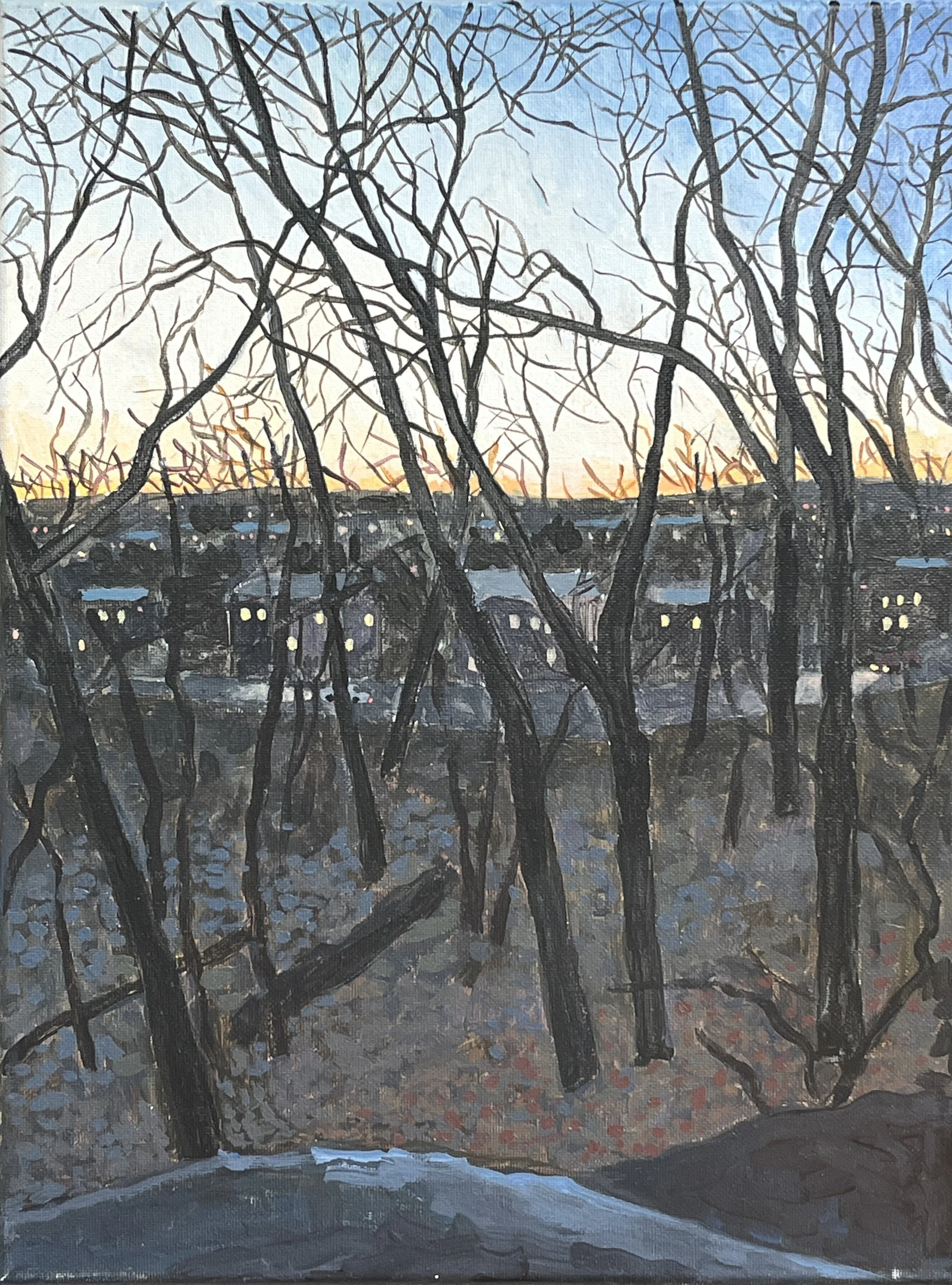 Cook_Jamaica Plain from Franklin Park (January Evening).JPG