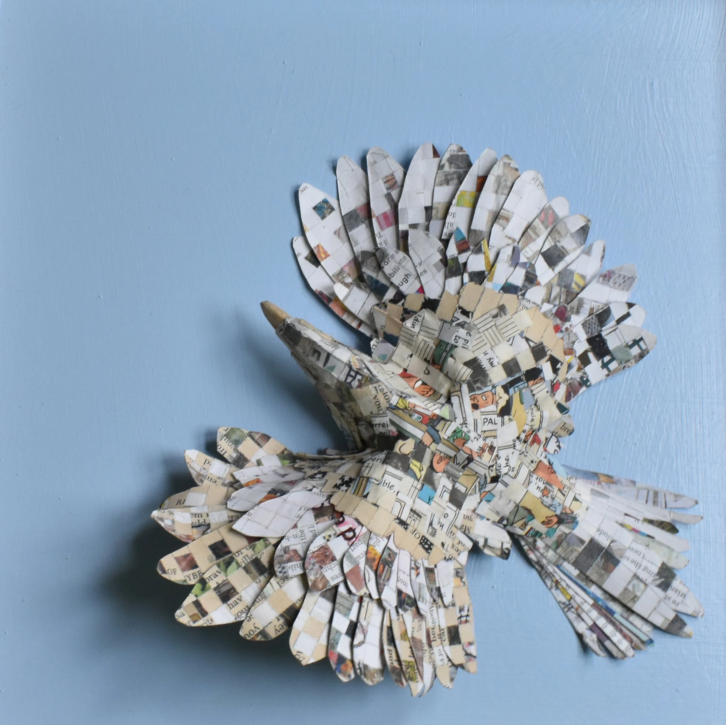 Sweeney_silent flight.jpg