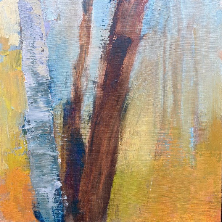 Pilchard_Spring Woods.jpg