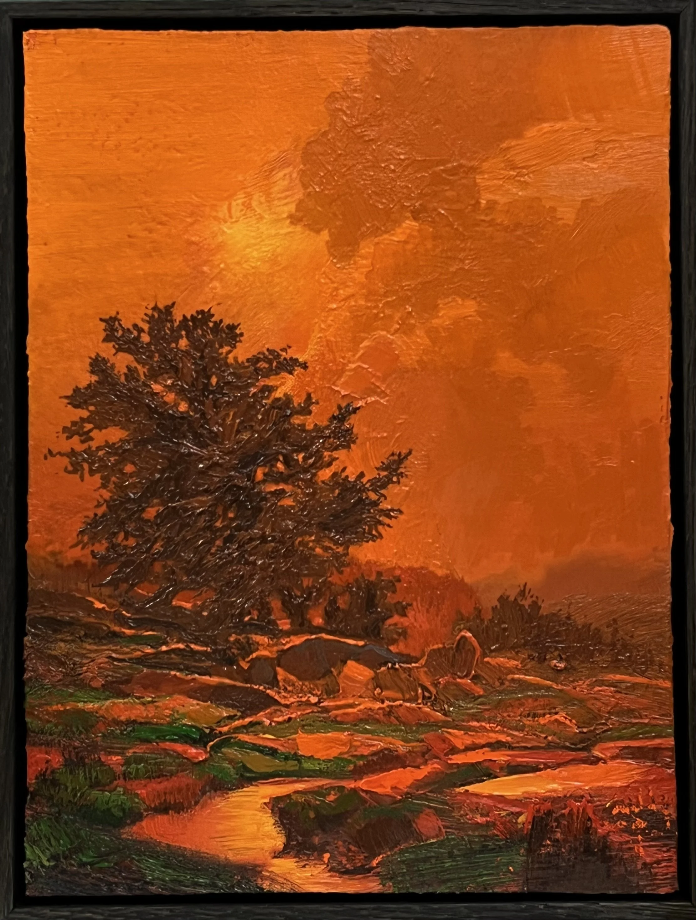 Neusser_Landscape Orange (#2622).jpeg