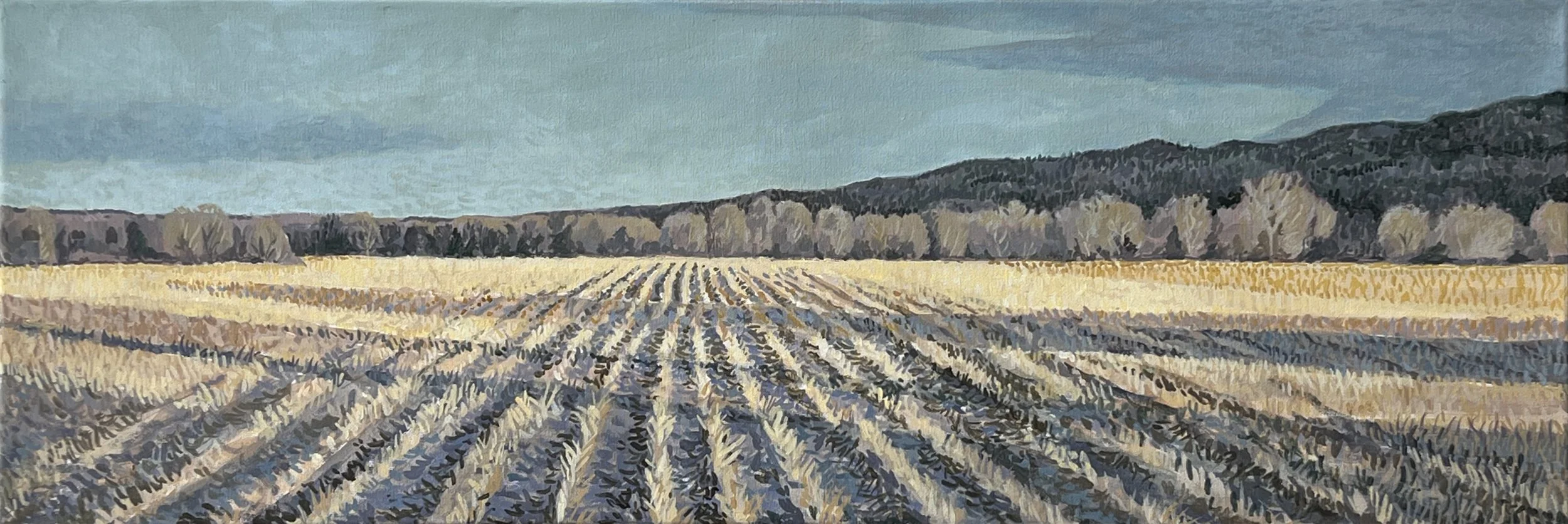 Cook_Cornfields at Hockanum Road, Northampton.jpg