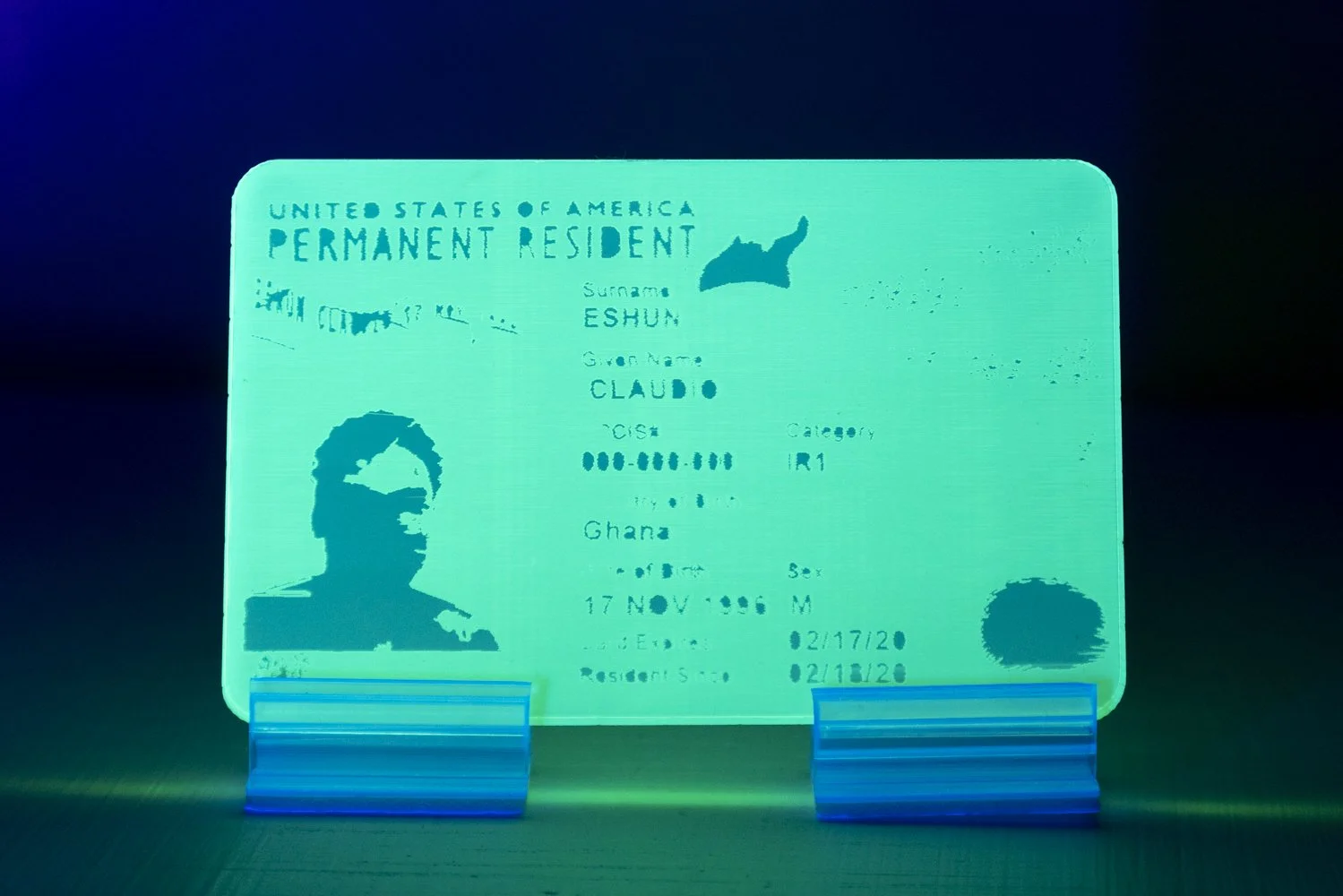 Eshun_Untitled (My Green Card).jpg