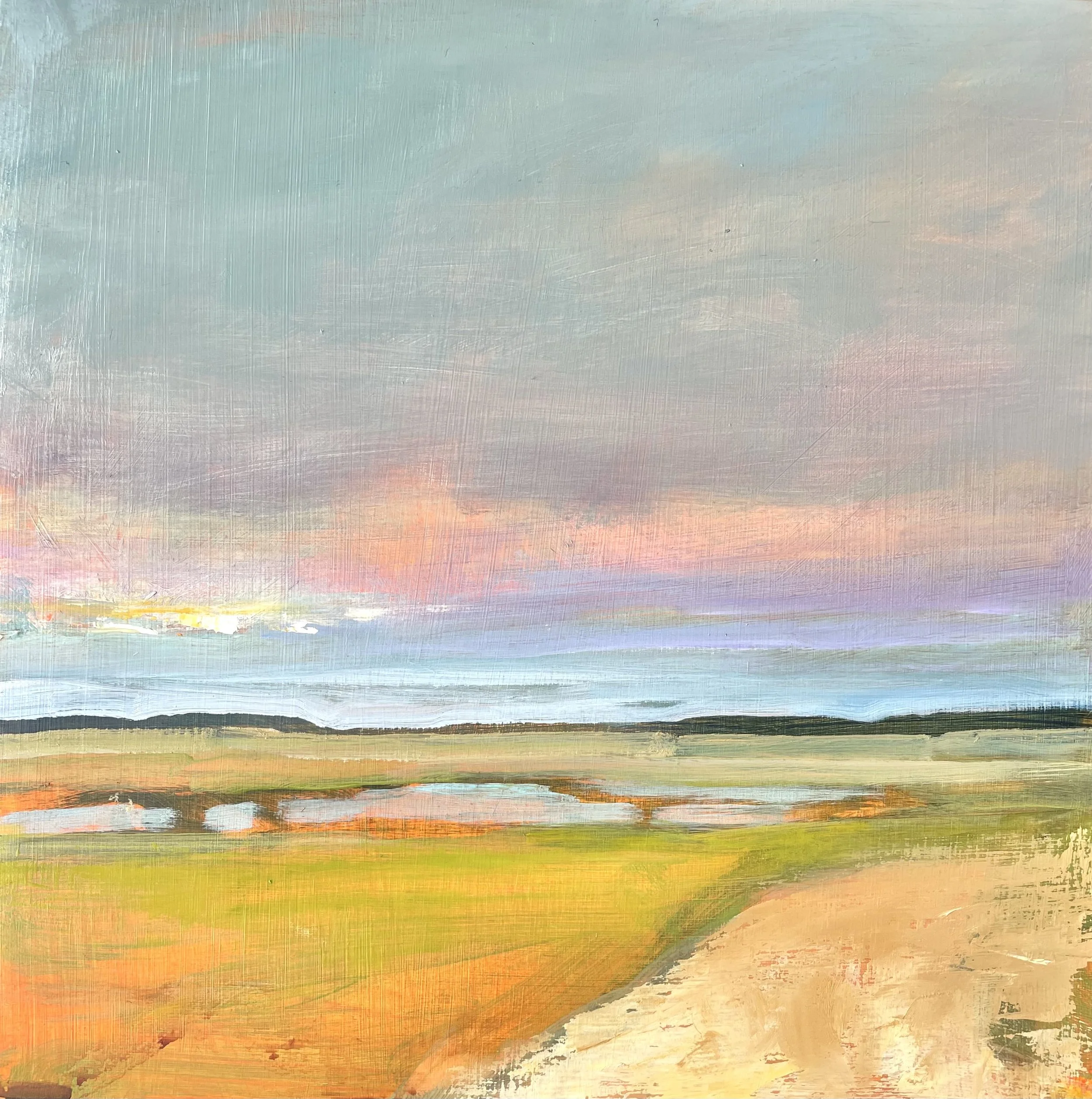Pilchard_Marsh, Day Break.jpg