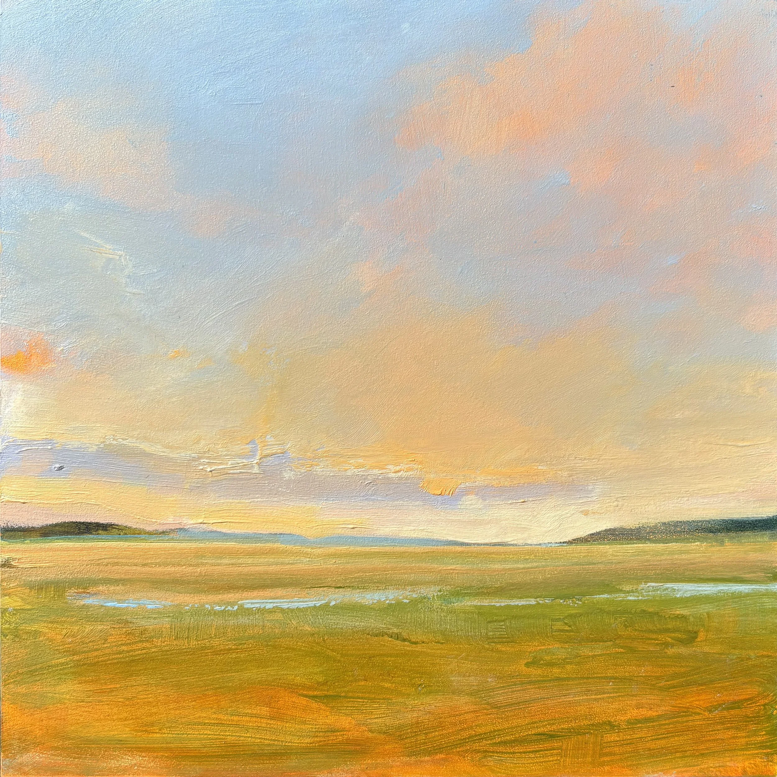 Pilchard_Marsh with Setting Sun.jpeg