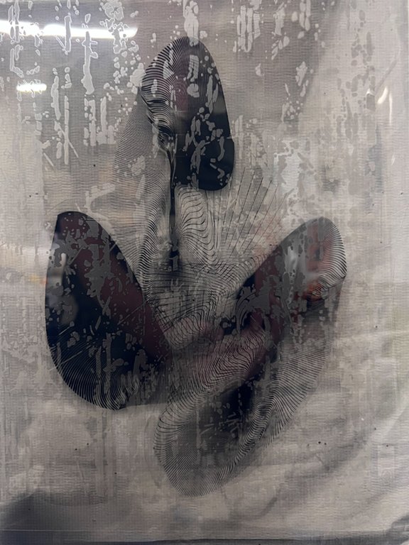 Dorothea Van Camp - Self Reflected