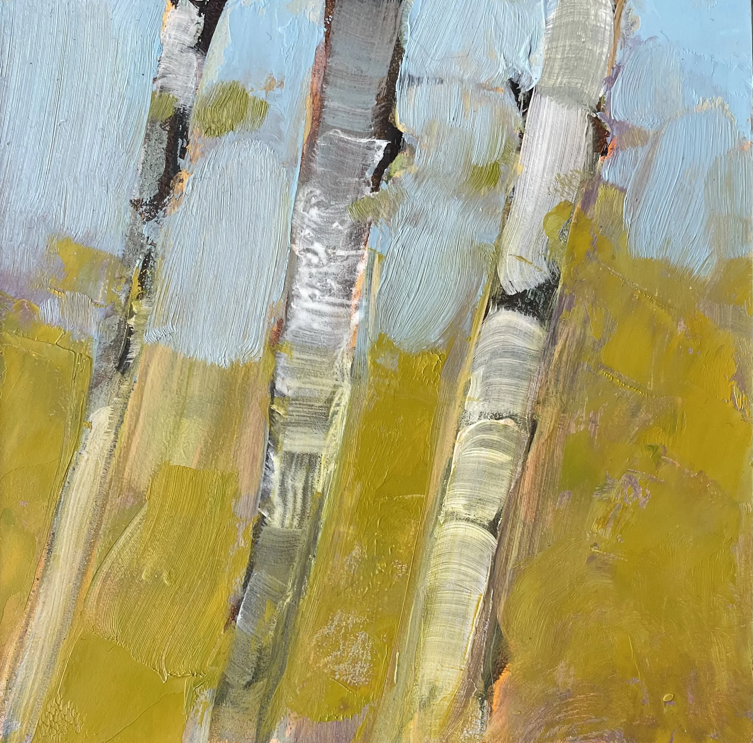 Pilchard_Birch Trees in Spring.jpg