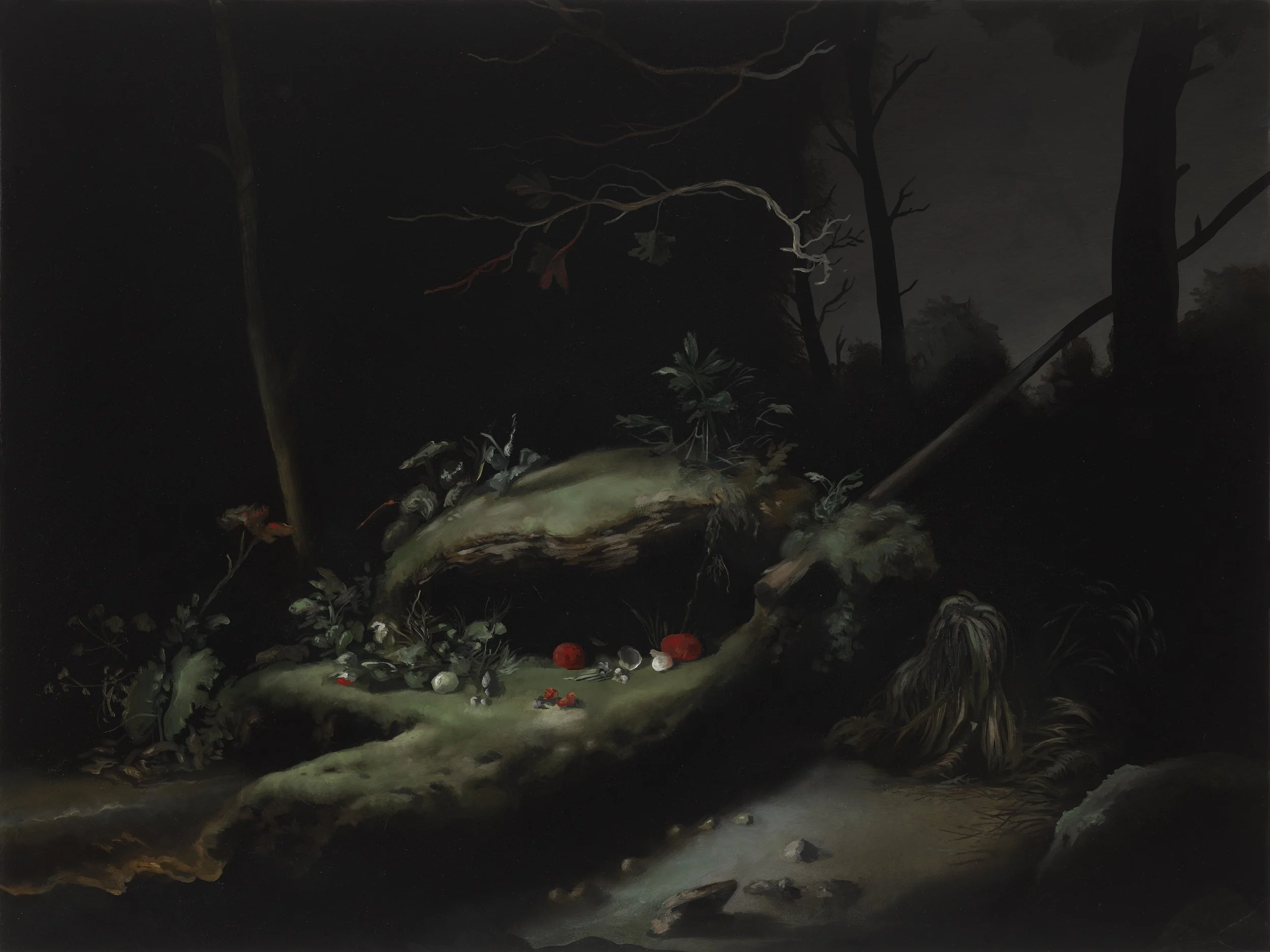 Nicole Duennebier - Swamp Structure (4)
