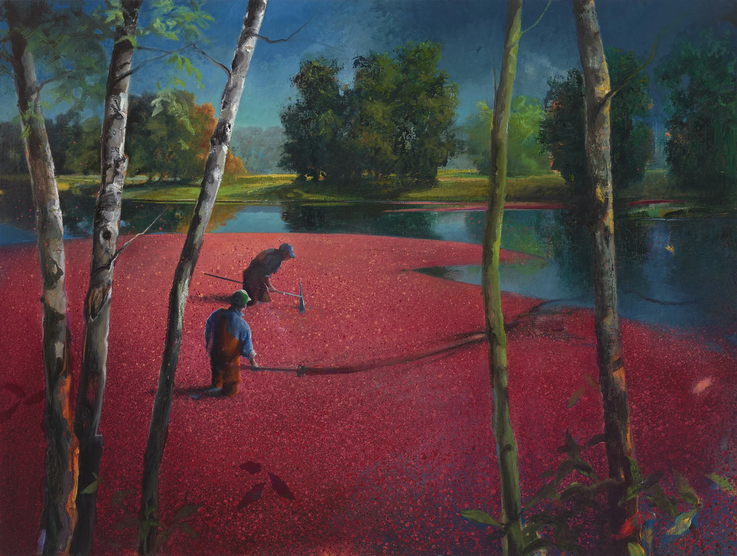 Neusser_Bog-Light Horizon (#2113).jpg