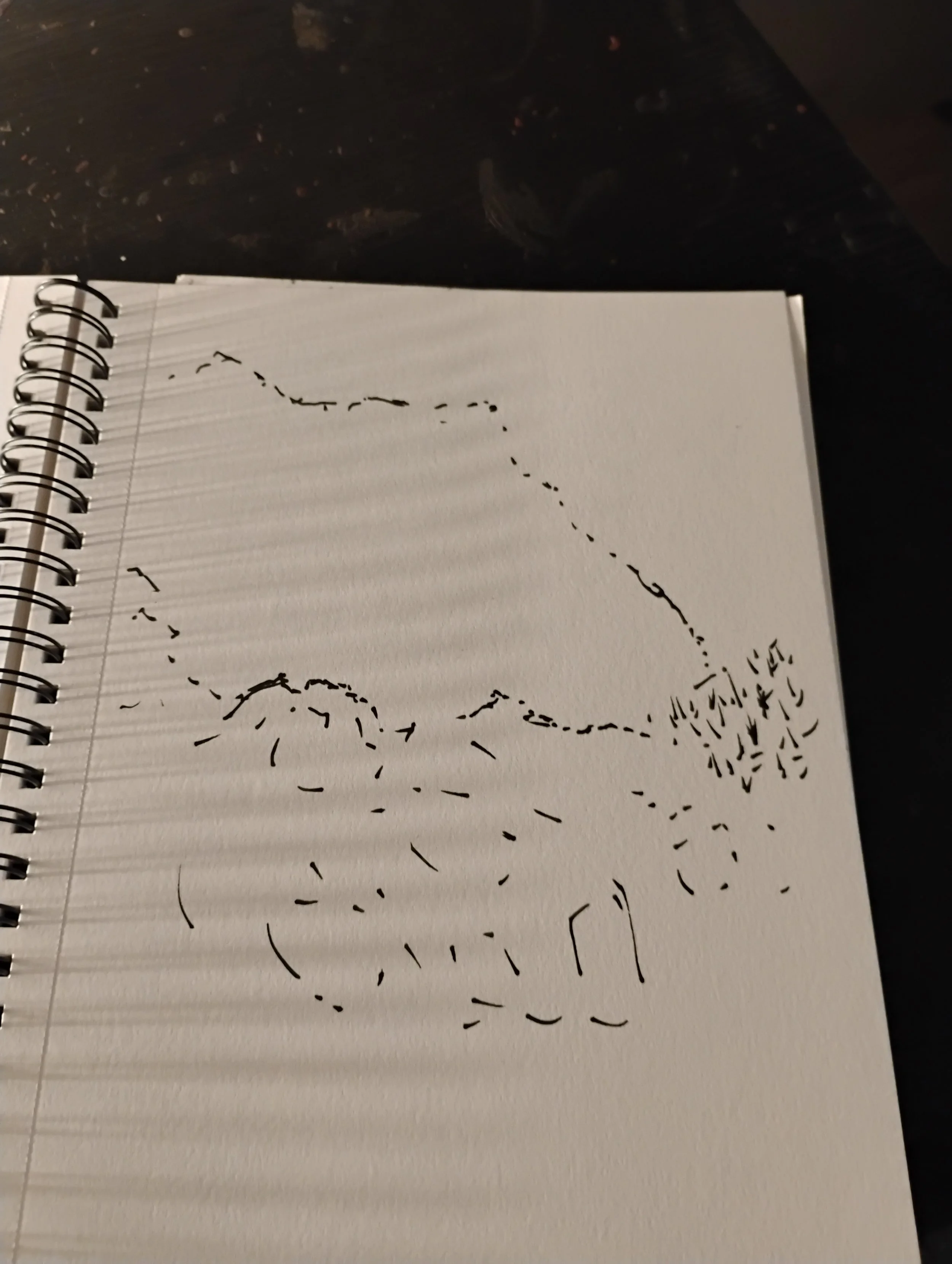 Process1