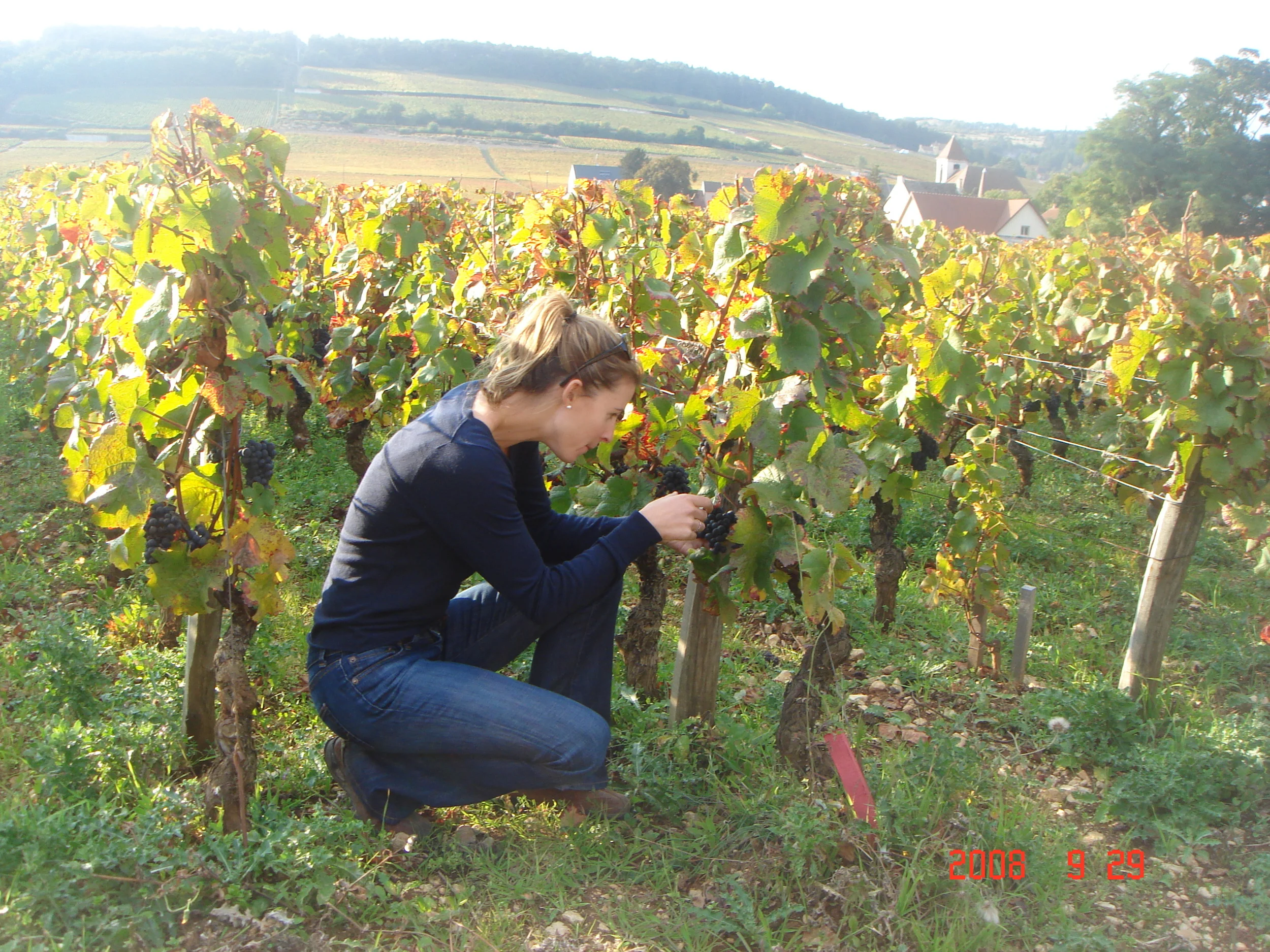 In Chambertin.jpg