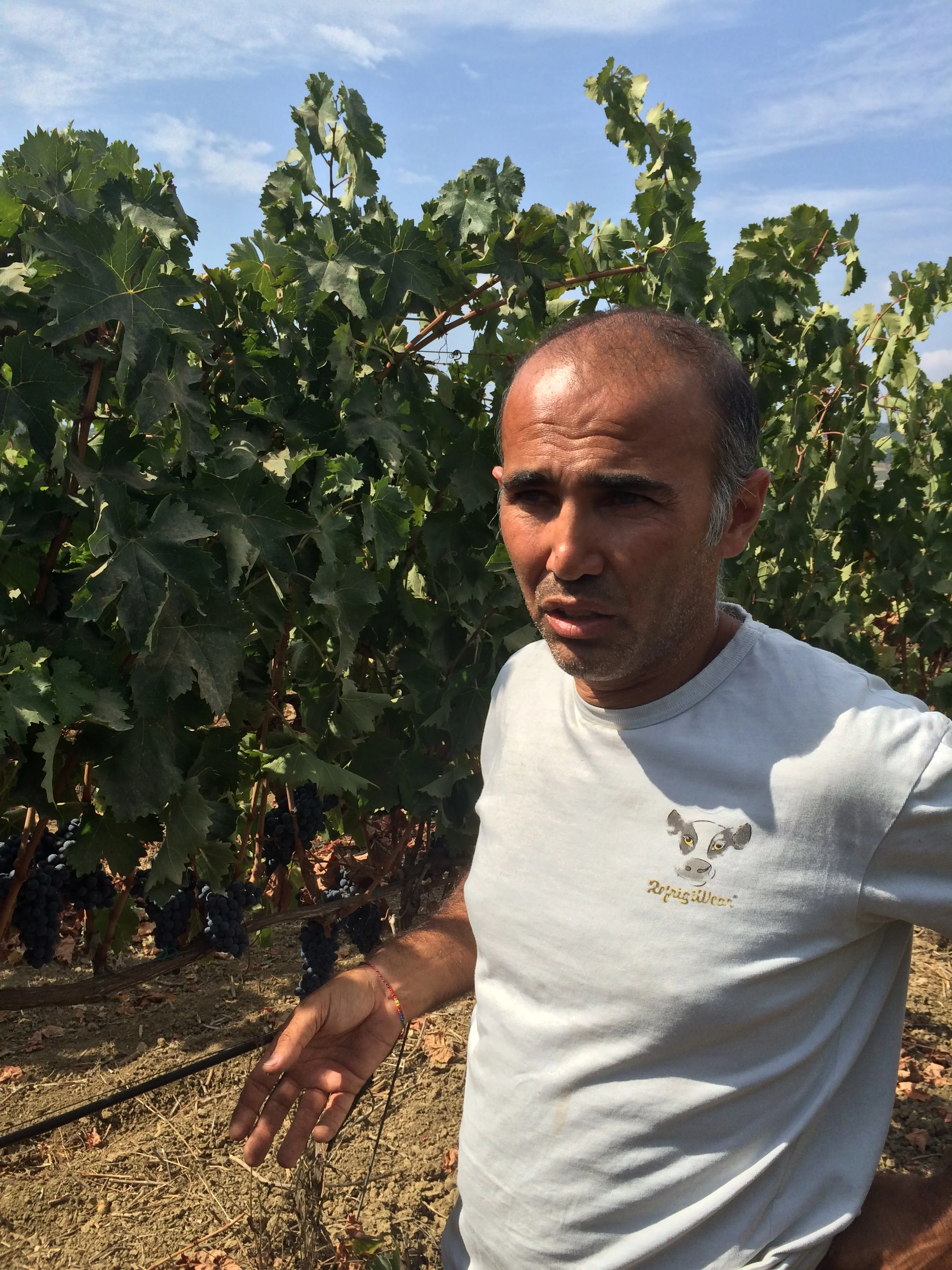 2014-09-24 12.00.14 HDR.jpg