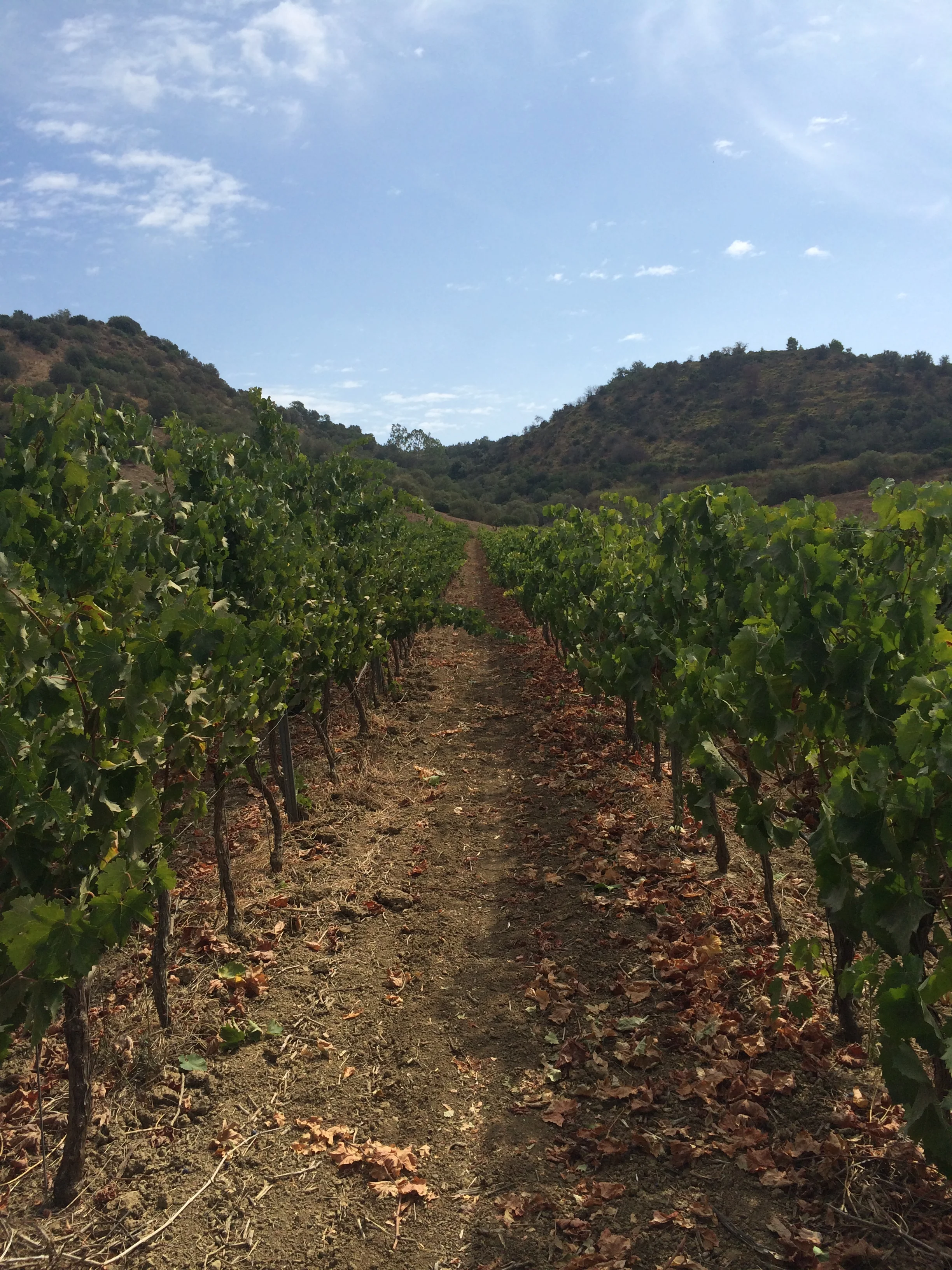 2014-09-24 12.09.17.jpg