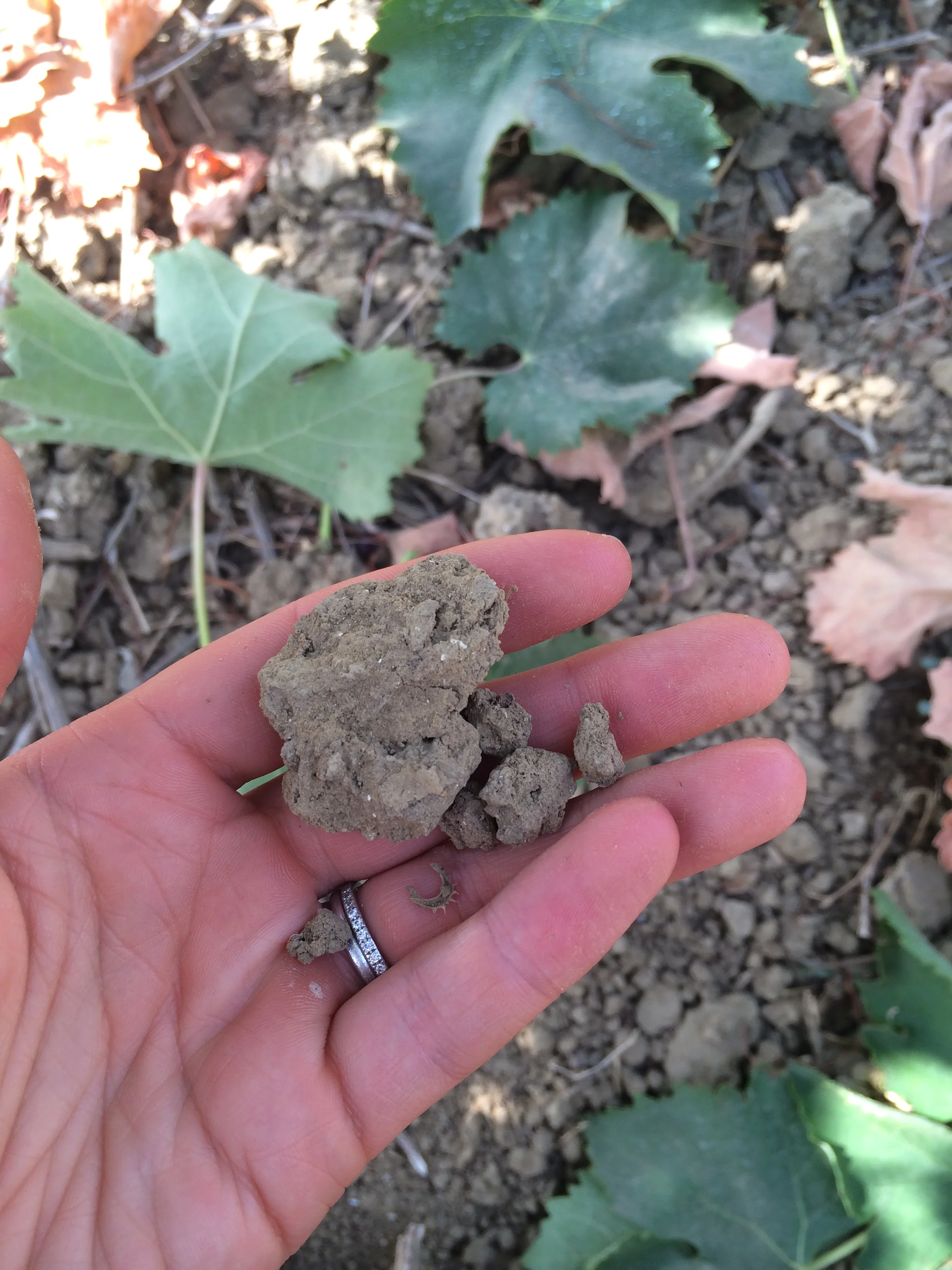 2014-09-24 12.22.18.jpg