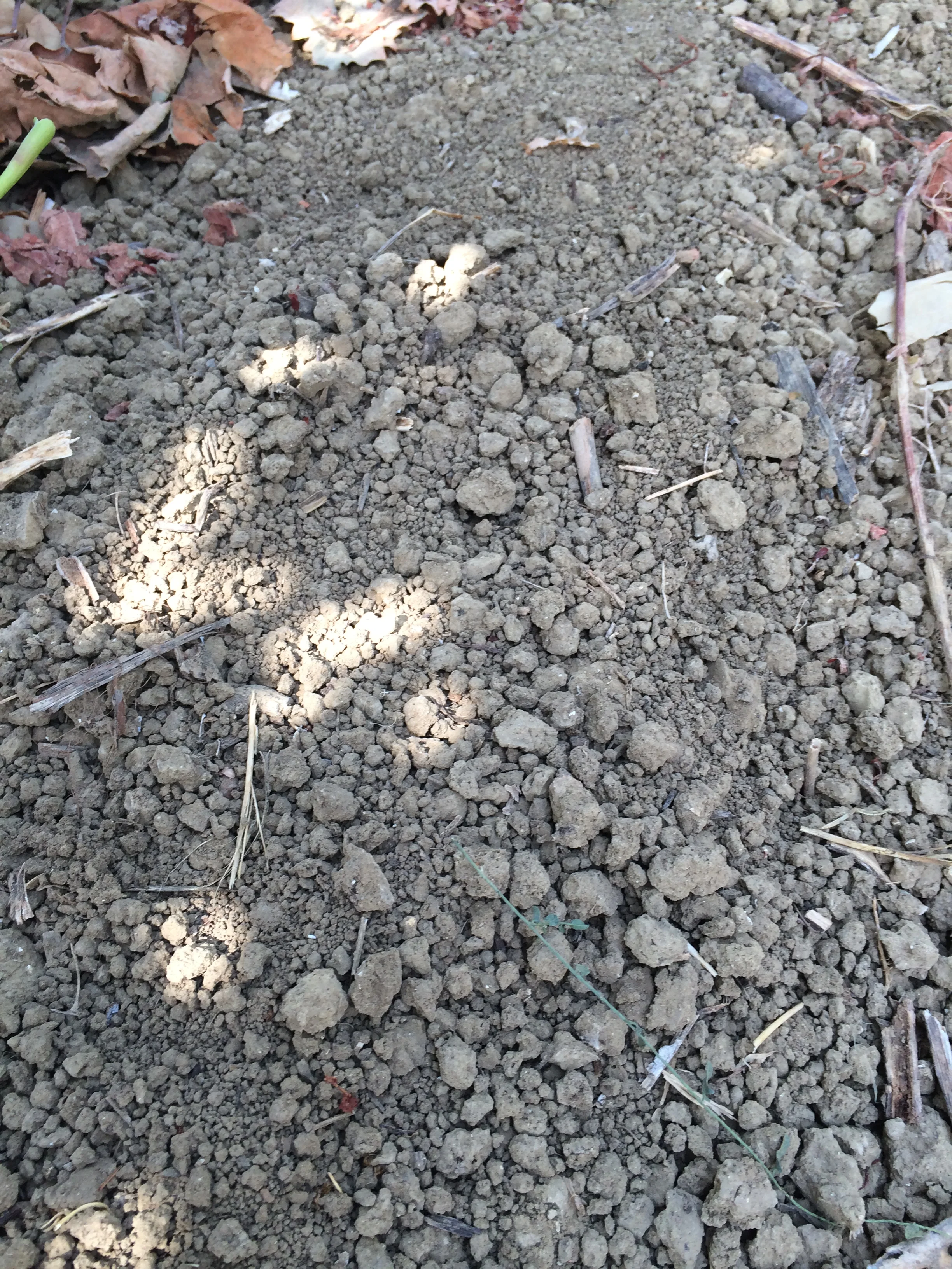 2014-09-24 12.22.10.jpg