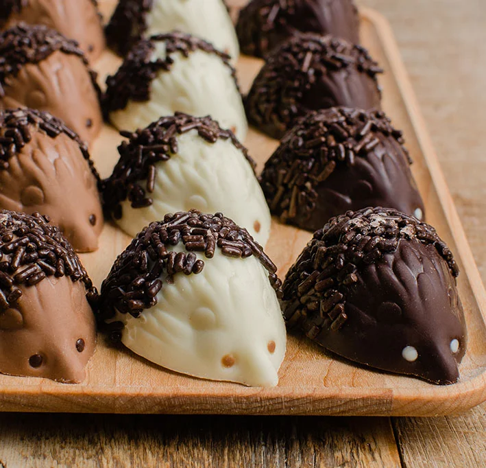 staffords-chocolate-hedgehogs-2.jpg