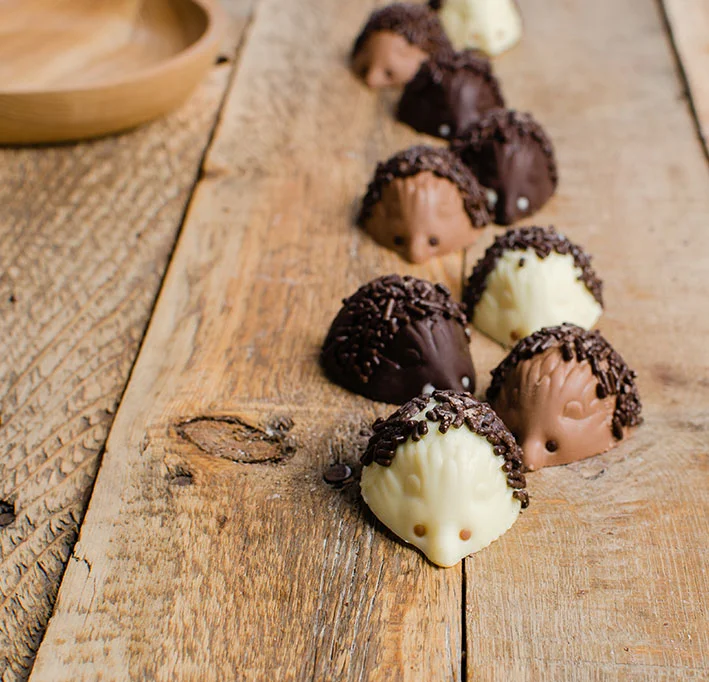 staffords-chocolate-hedgehogs-3.jpg