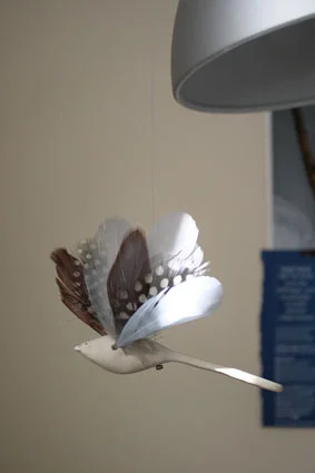 Objet / birdie