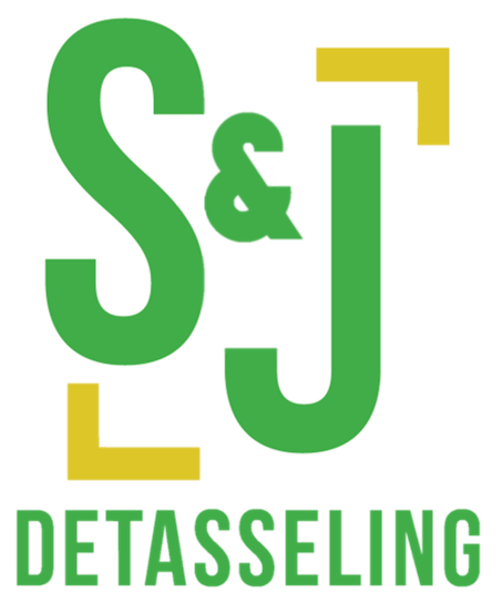 S&J Detasseling