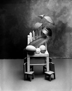 [ title of work or series' title ]