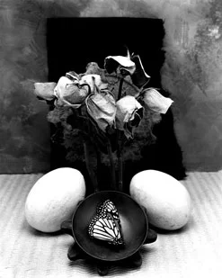 [ title of work or title of series ]