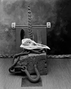 [ title of work or series' title ]