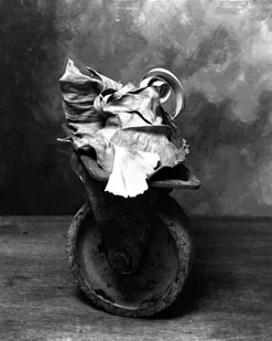 [ title of work or series' title ]