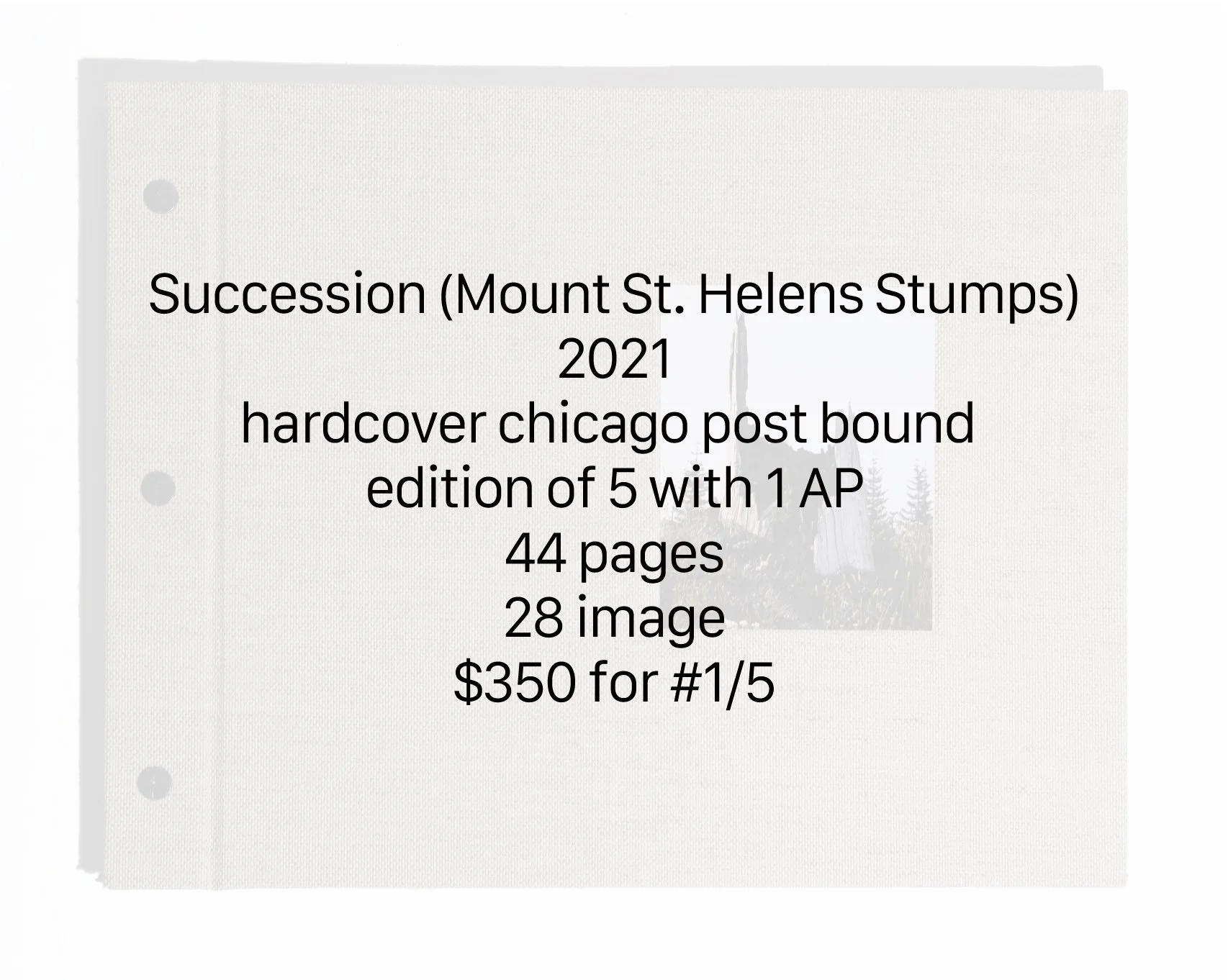 SuccessionInfo.jpg