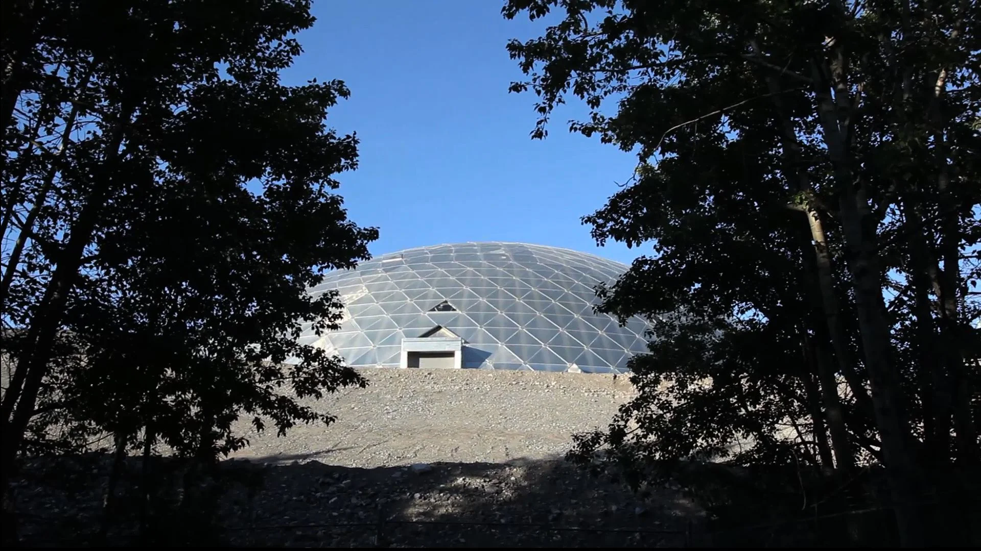 EcoDome_TreesEntrance.jpg