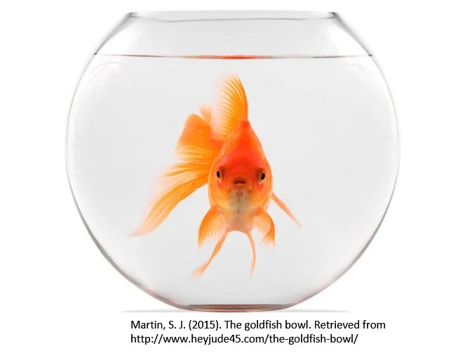 4K COLLABORATION AND CULTURAL COMPETENCY: SEEING THE AIR WE BREATHE