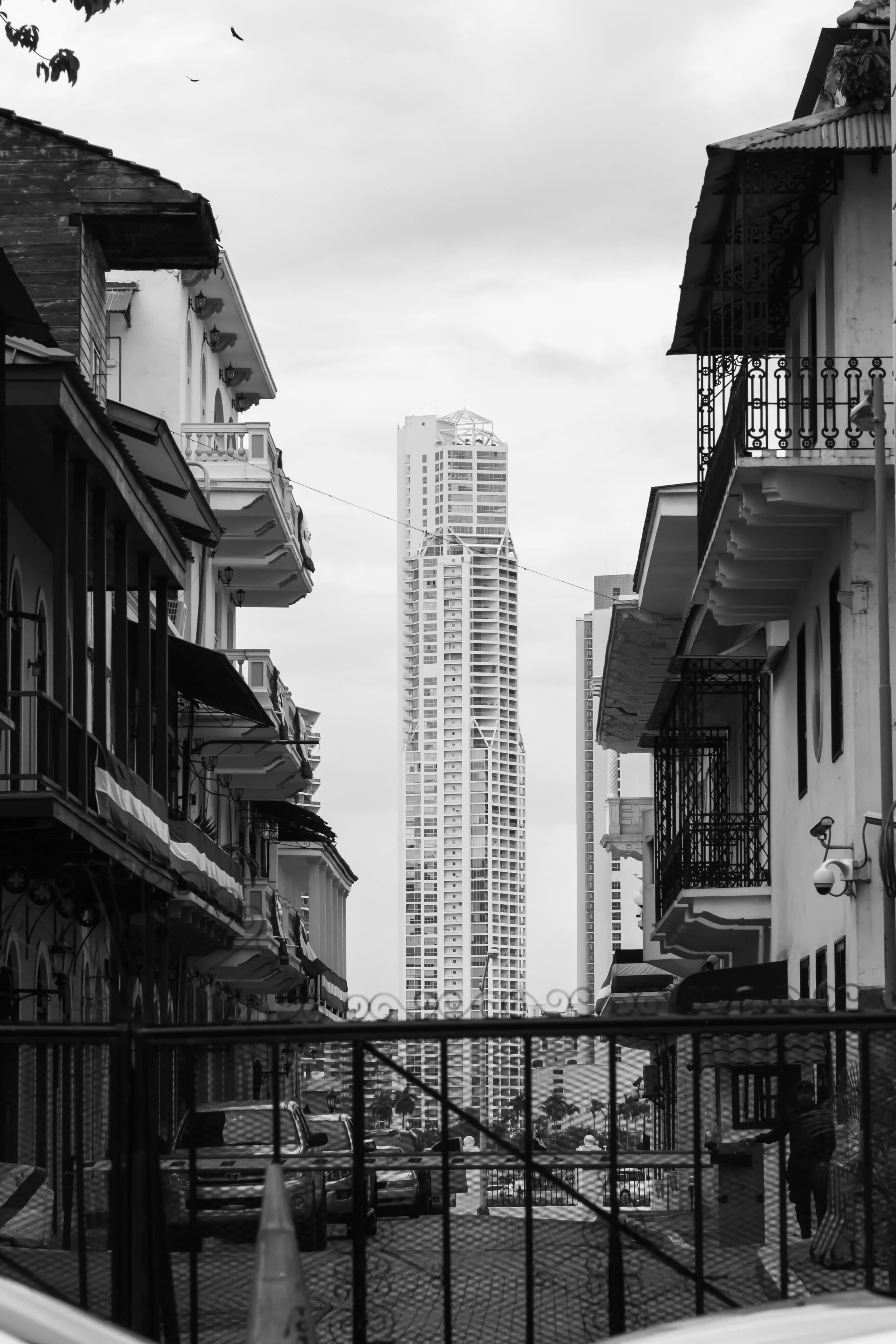 _MG_1103.jpg
