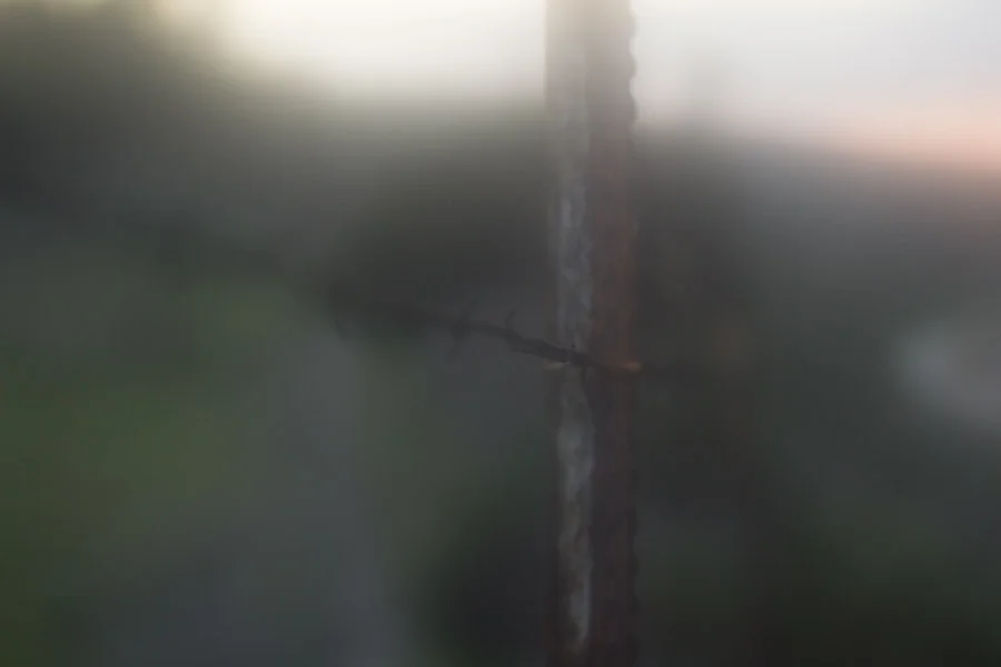 Barbwire (1 of 14).jpg