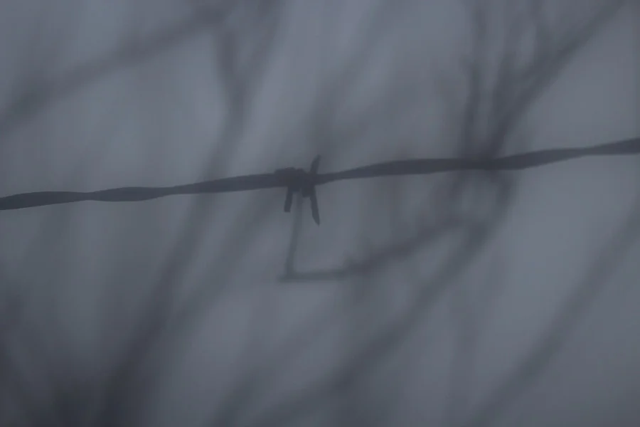 Barbwire (3 of 14).jpg