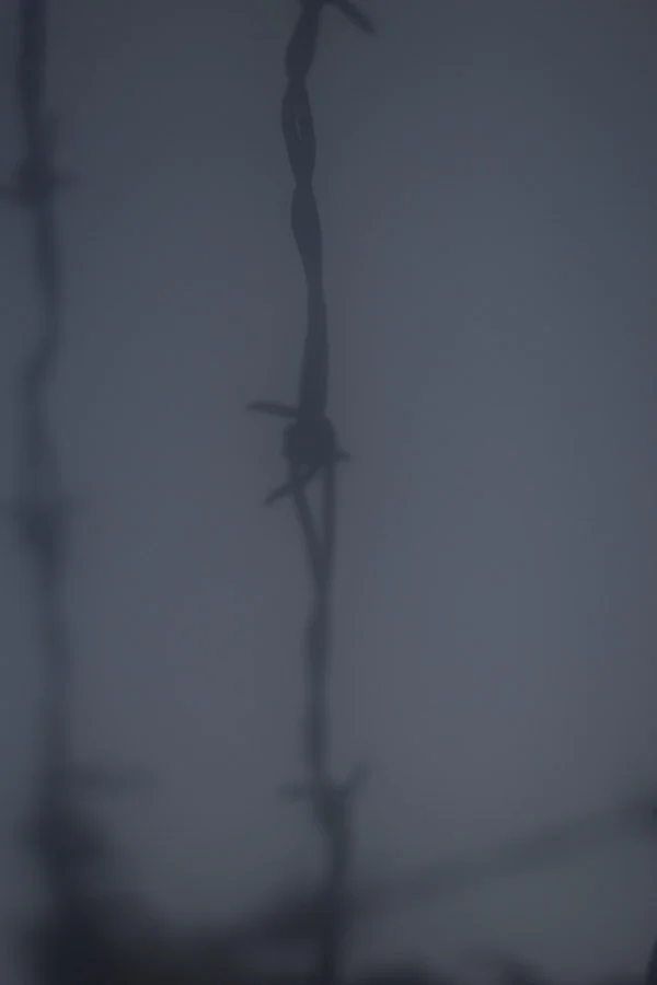 Barbwire (7 of 14).jpg