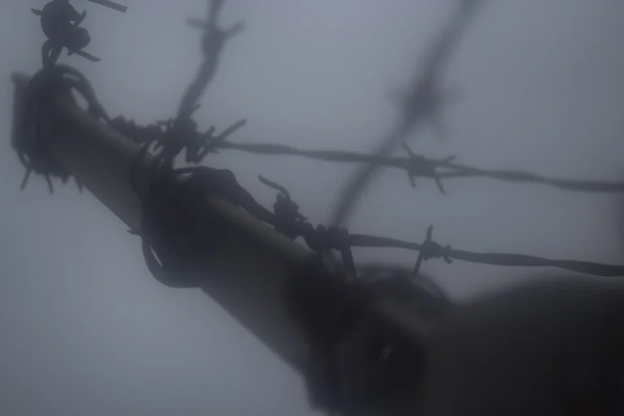 Barbwire (6 of 14).jpg